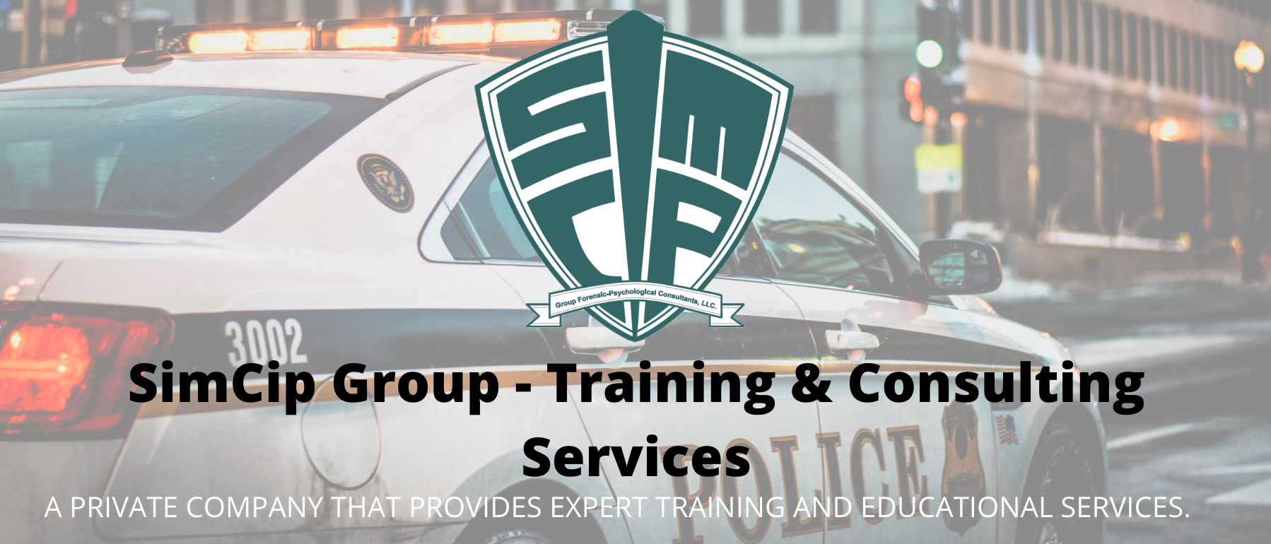 SimCip Group – Training & Consulting Services